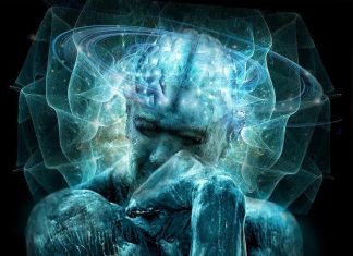 » L’invasion » !!!